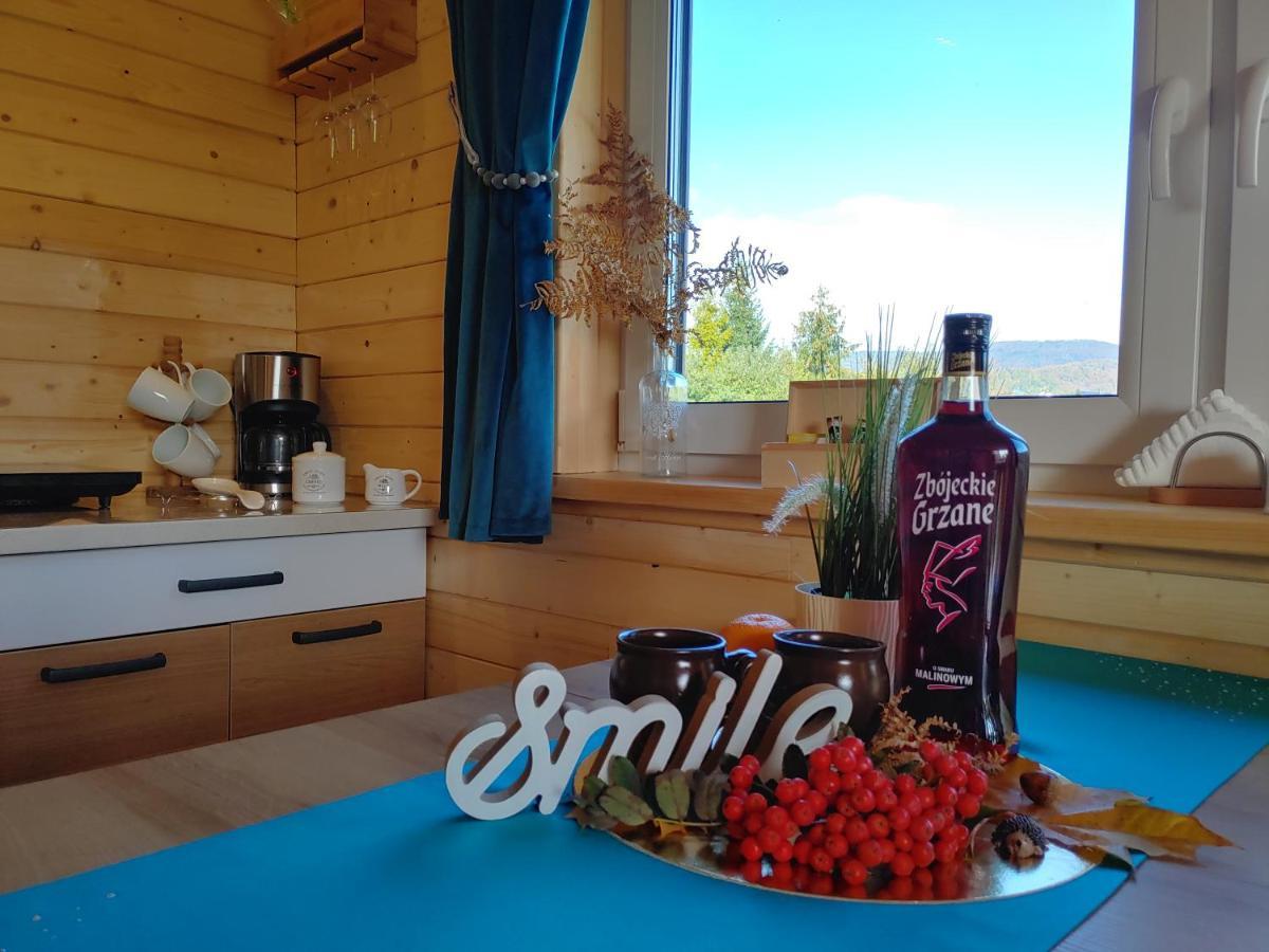Przy Jeziorze Zywieckim Z Widokiem Na Skrzyczne Apartment Żywiec